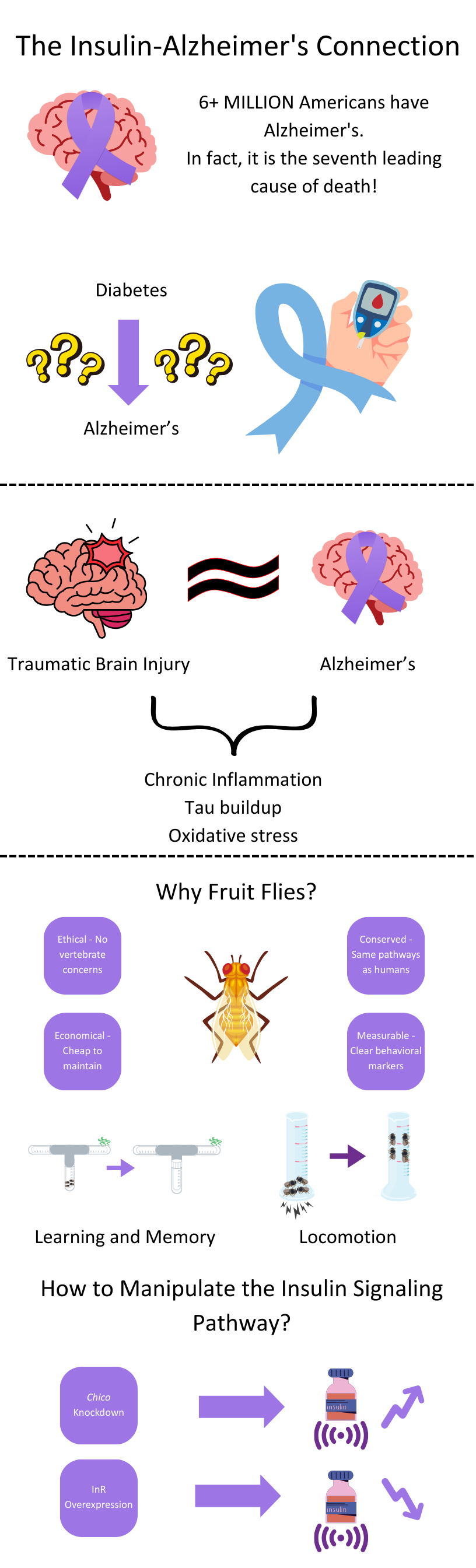 Background Infographic